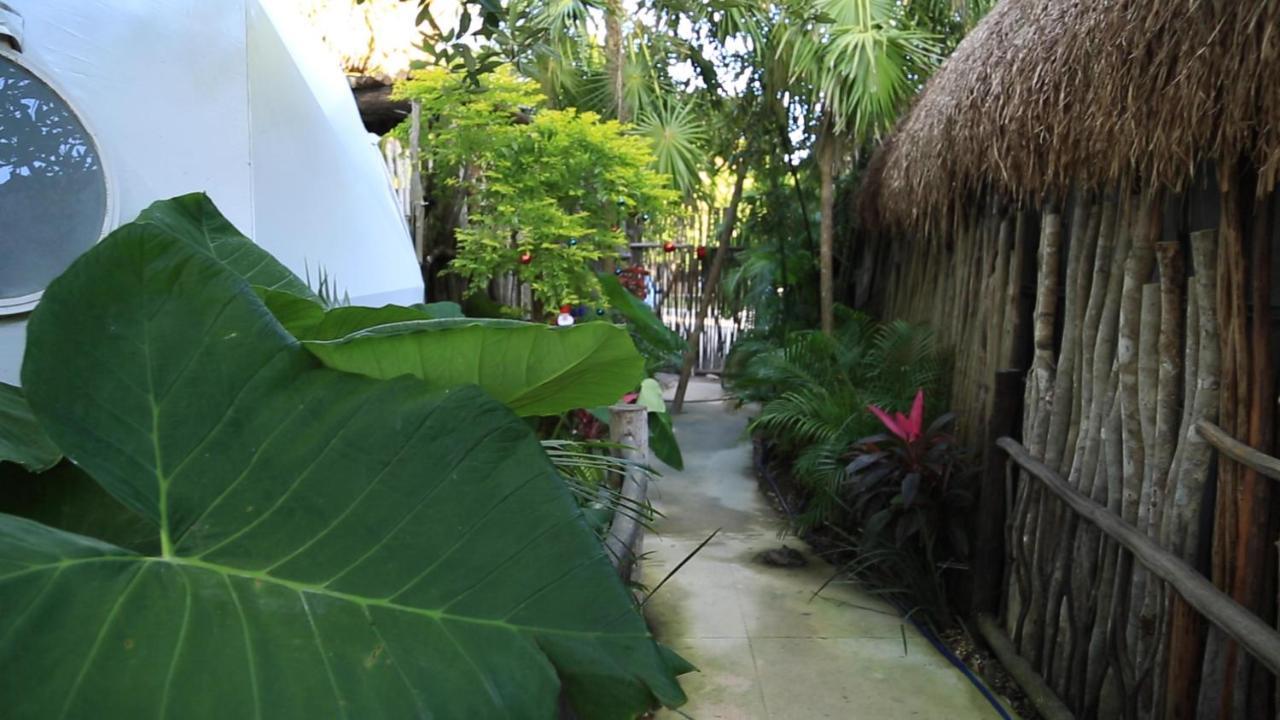 Glamping Tulum With Private Mini Pool Ξενοδοχείο Εξωτερικό φωτογραφία